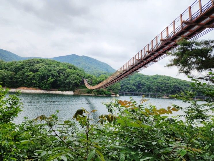 서울 근교 여행 파주 마장호수 출렁다리