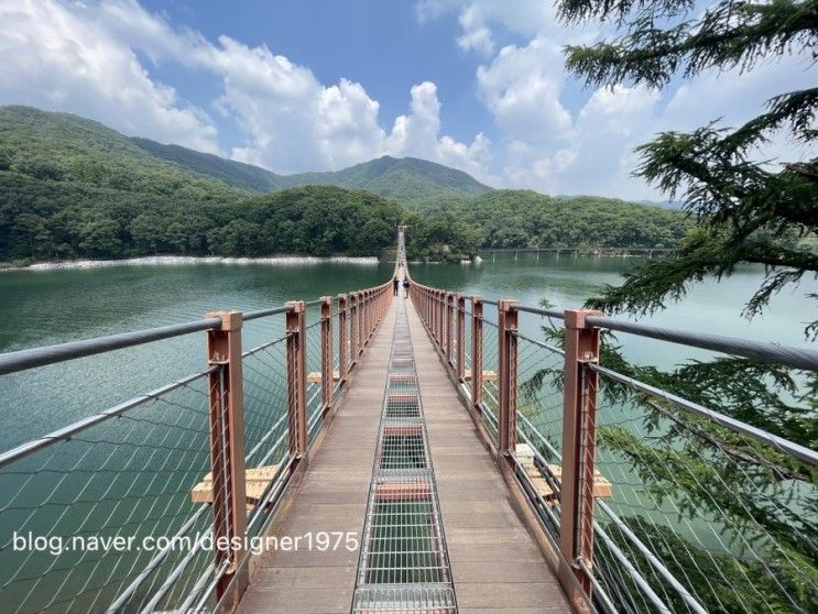 경기 파주 마장호수 : 20230615 마장호수 출렁다리