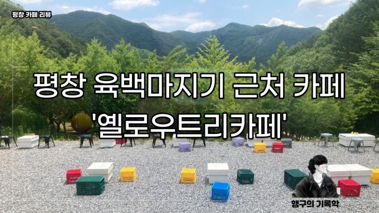 평창 옐로우트리카페, 육백마지기 근처 카페