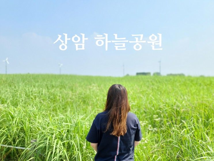 상암 하늘공원, 서울 나들이 산책 가볼만한곳