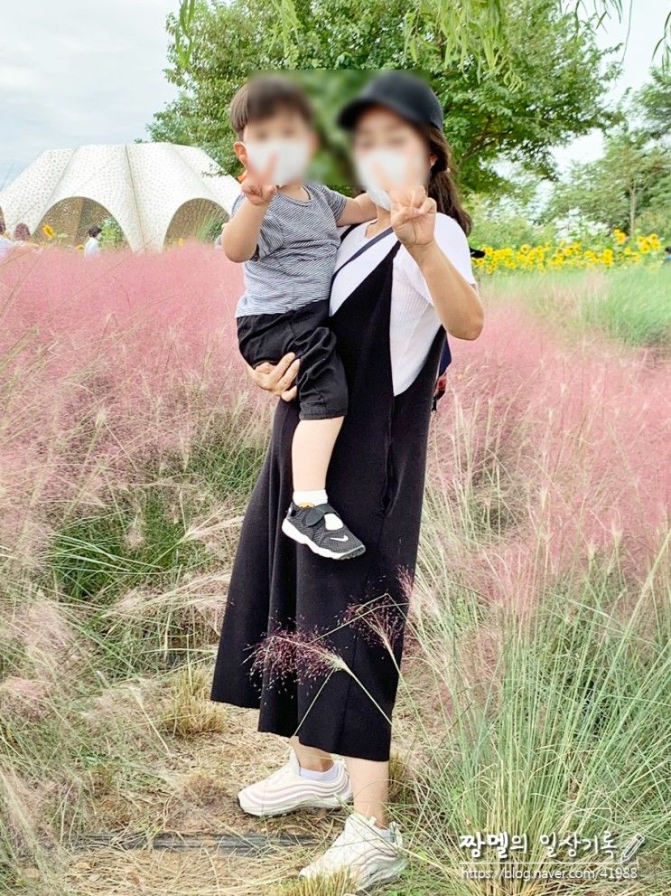 상암 하늘공원 핑크뮬리 폐쇄전 맹꽁이 전기차 타고 아이랑 가볼만한곳
