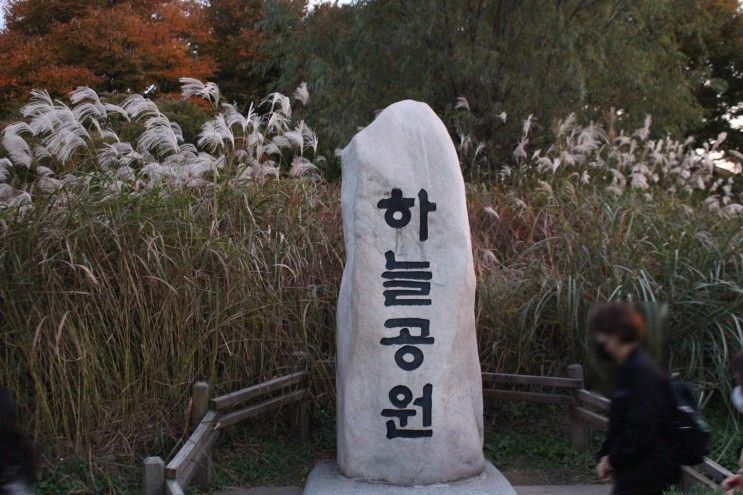 아이와 함께 마포 상암 하늘공원 저녁 나들이. 맹꽁이 전기차 타는 곳과 주말 주차팁. 서울주말나들이추천.