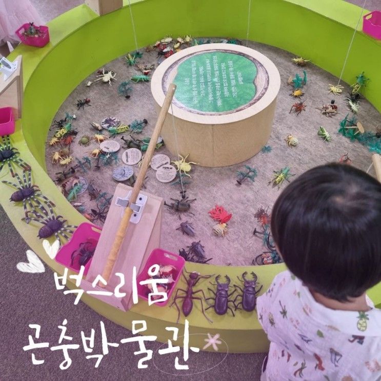 시흥 곤충박물관 벅스리움 곤충 좋아하는 아이와 가볼만한 곳