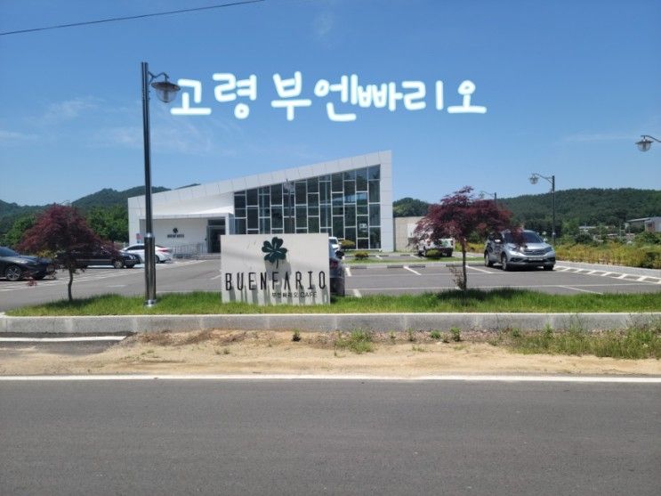 경북고령군 신상 대형카페 넓은통창이 인상적인 부엔빠리오