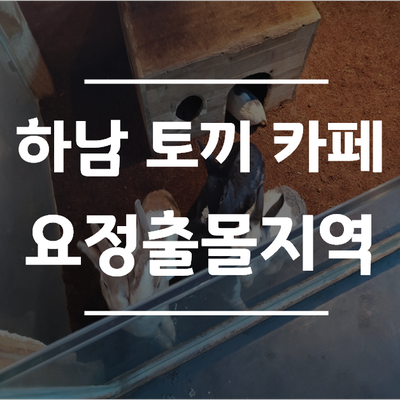 [하남 토끼카페] 아이랑 갈만한 곳 "요정출몰지역"