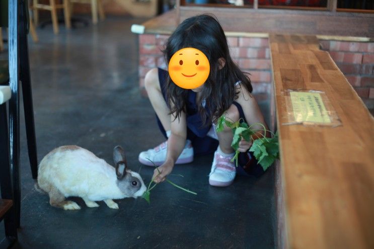 하남시 아이랑 갈만한 곳 토끼카페 <요정출몰지역>