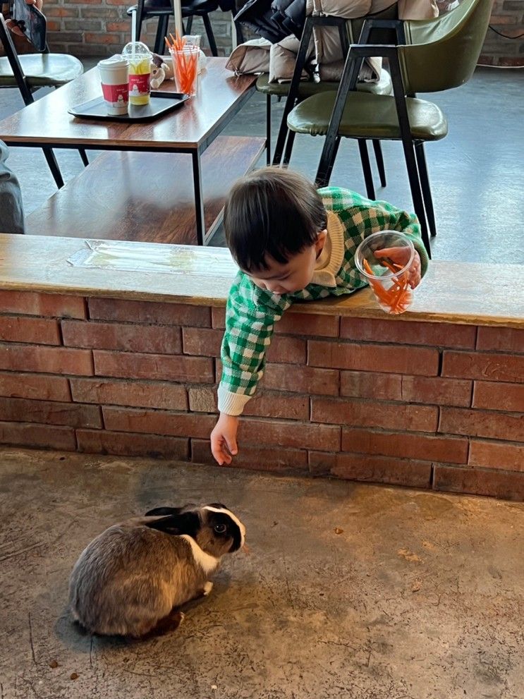 [하남 요정 출몰지역] 토끼 먹이주기 체험 카페