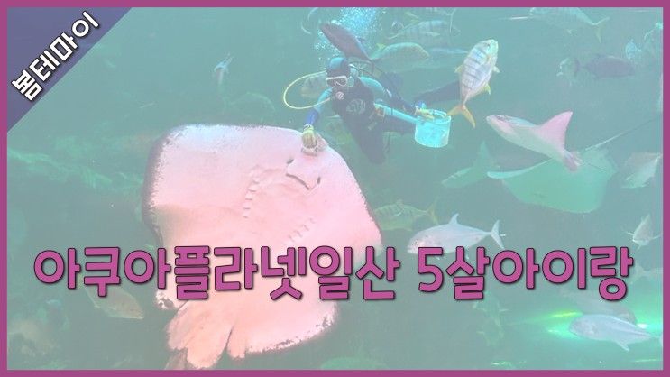 [육아TMI] 아쿠아플라넷일산 5살아이랑 (‘23.6월)