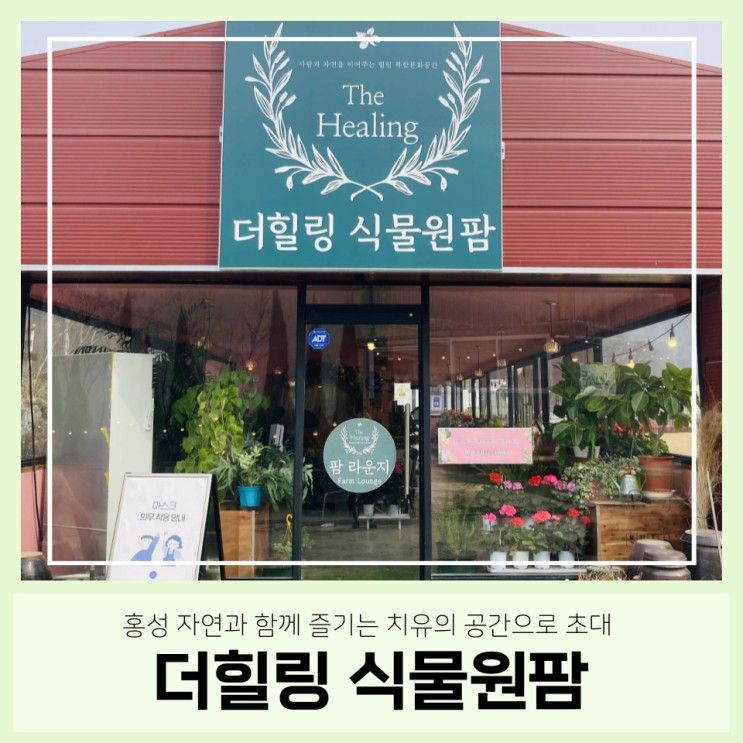 [홍성 관광지 리뷰] 홍성 자연을 만끽할 수 있는 '더힐링식물원팜'