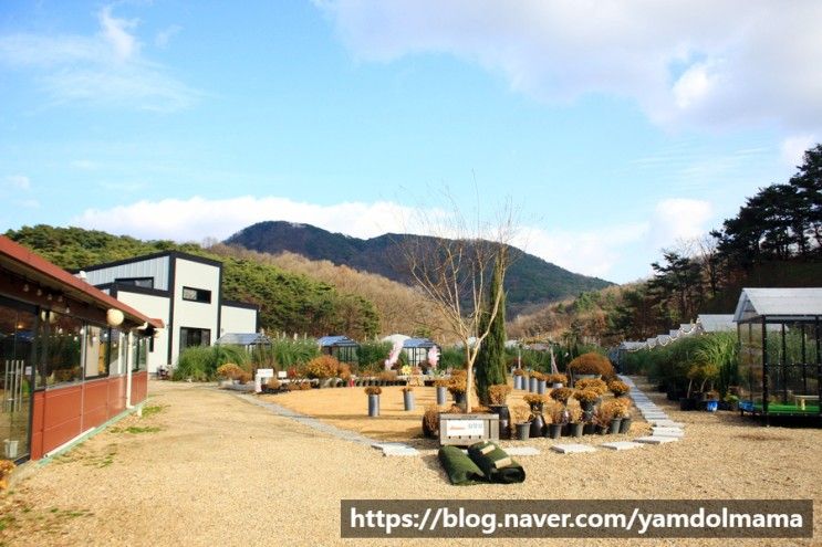 충남 홍성 식물원추천 더힐링 식물원팜 프로그램, 가격, 후기