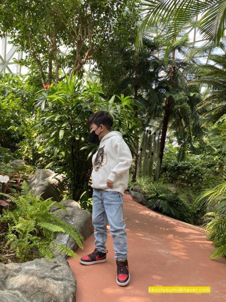 아이와 가볼만한곳 ‘울산대공원 생태여행관’