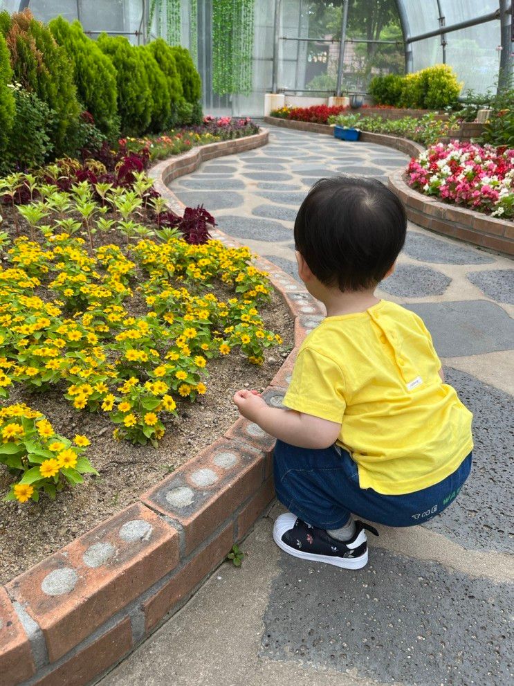 20개월 아기와 나들이하기 좋은 곳 -울산대공원 생태여행관