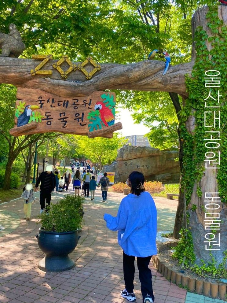 울산여행 울산대공원 남문 장미원과 동물원