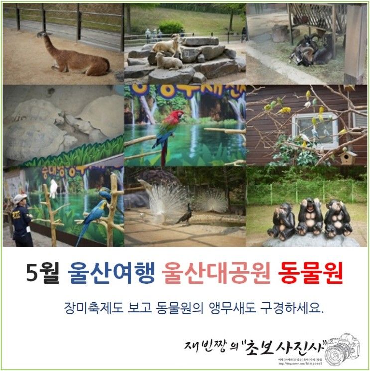 울산 가볼만한곳 울산대공원 동물원 앵무새 5월 여행