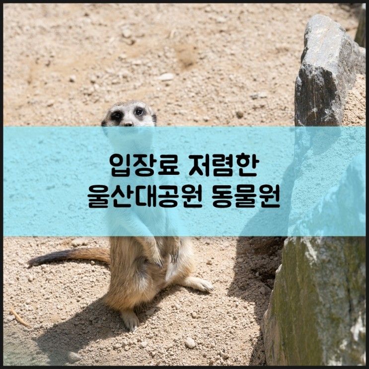 울산대공원 동물원 주차장 입장료 사진 참고하시길