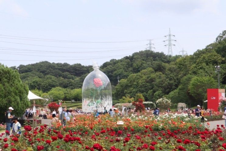 울산 아이와 가기 좋은 곳 울산대공원 장미원,동물원 함께보기...