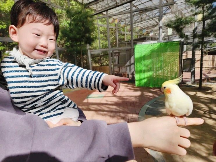 울산대공원 동물원 아이와 가볼만한곳