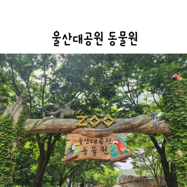 울산대공원 동물원 입장료 주차팁 부산근교 동물원