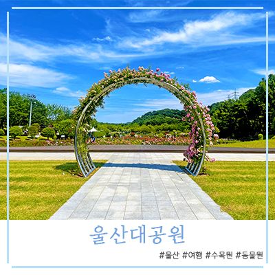 울산대공원 장미원, 수국정원, 동물원(+피크닉, 주차장, 입장료...