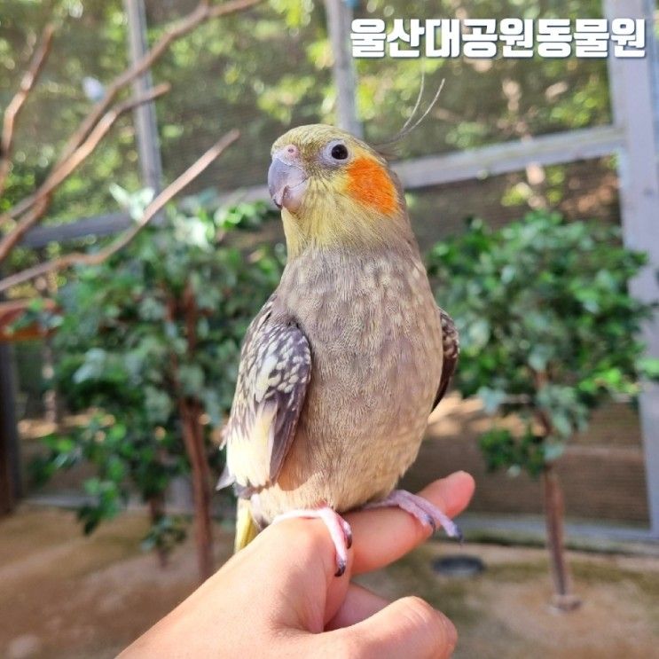 울산대공원 동물원 놀이터 울산 아이와 가볼만한곳