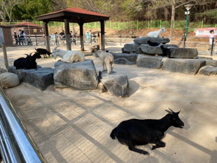 울산 아이랑 가볼만한 곳, 울산대공원 동물원