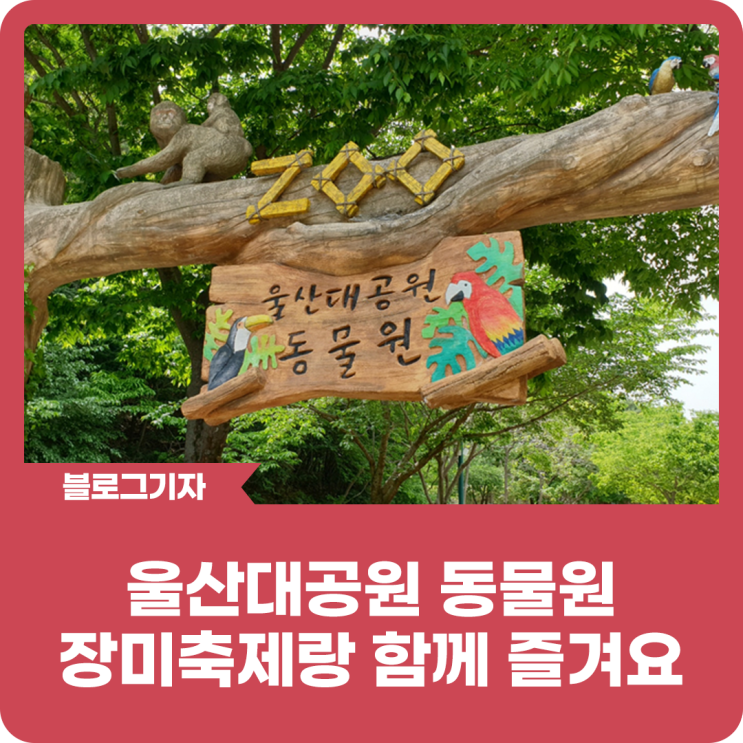 [블로그 기자] 울산대공원 동물원 장미축제랑 함께 즐겨요