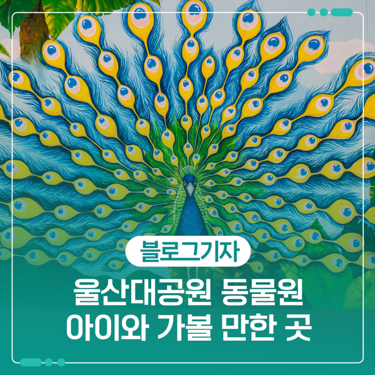 울산대공원 동물원 아이와 가볼 만한 곳