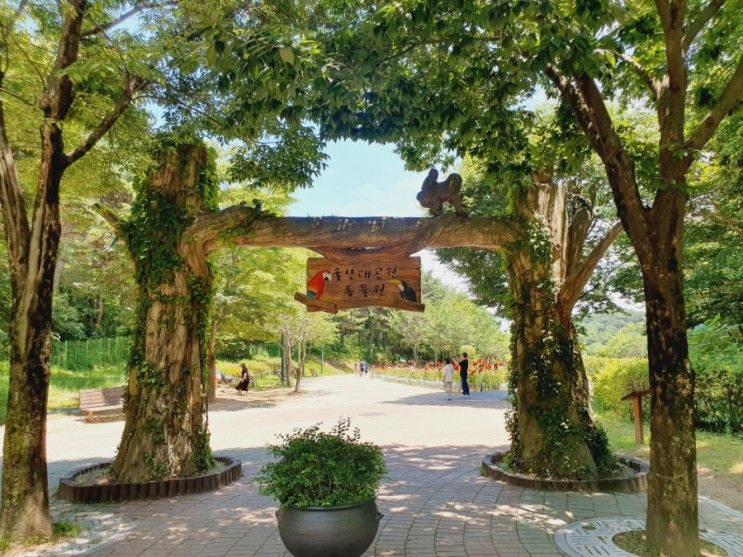 울산 아기랑 가볼만한곳 울산대공원 남문 동물원
