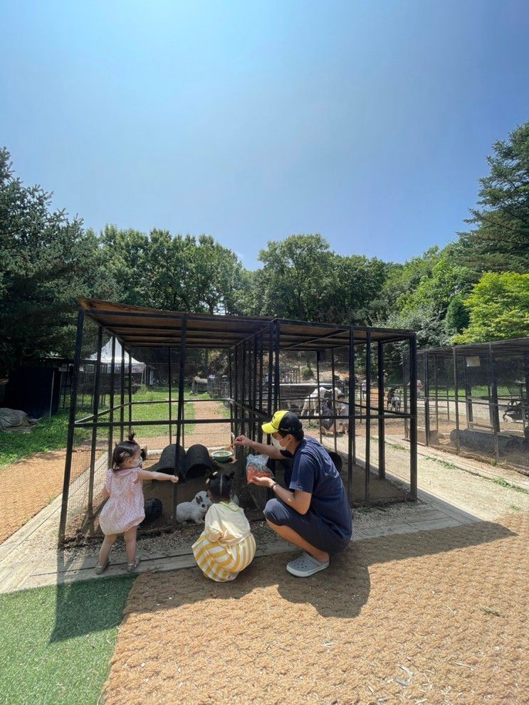 남양주 별내 아이와 나들이 산들소리 수목원