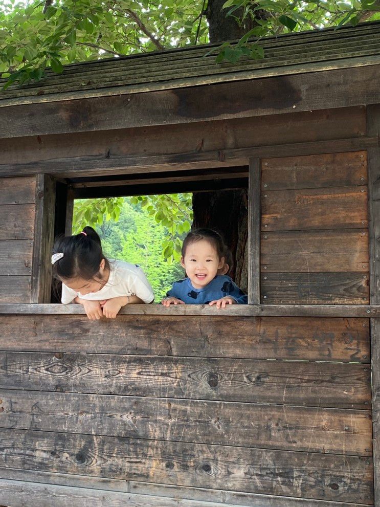 [남양주:별내]아이와 함께 갈만한 서울 근교 산들소리수목원 조금 많이 늦은 후기