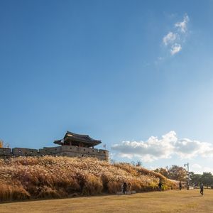 수원 : 화서공원