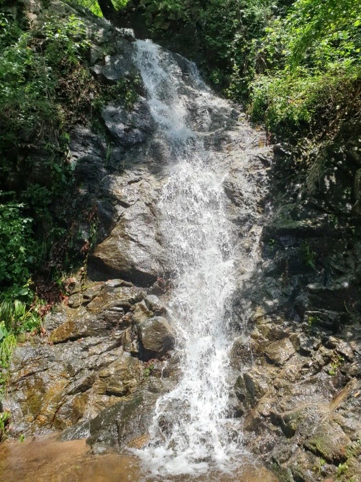 이천 산수유마을  탐방기