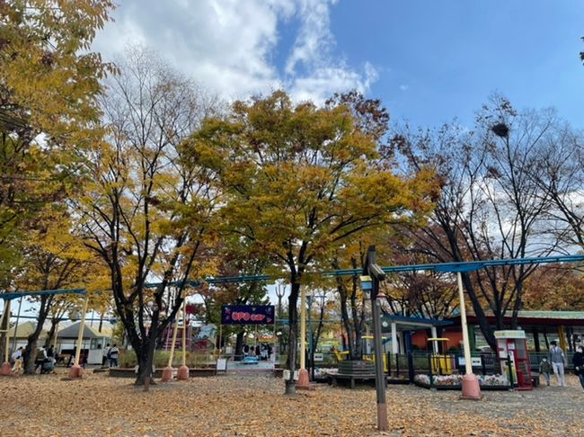 [수성구]대구 최초의 놀이공원,대구아이랑가볼만한곳,아르떼 수성랜드