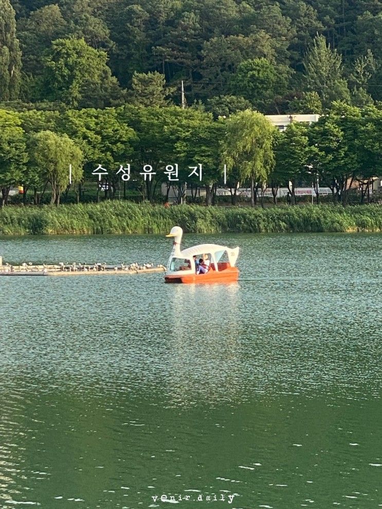 대구 | 아이와 산책하기 좋은 곳 ‘수성유원지’ (중장비놀이터, 분수쇼 운영시간 정보)