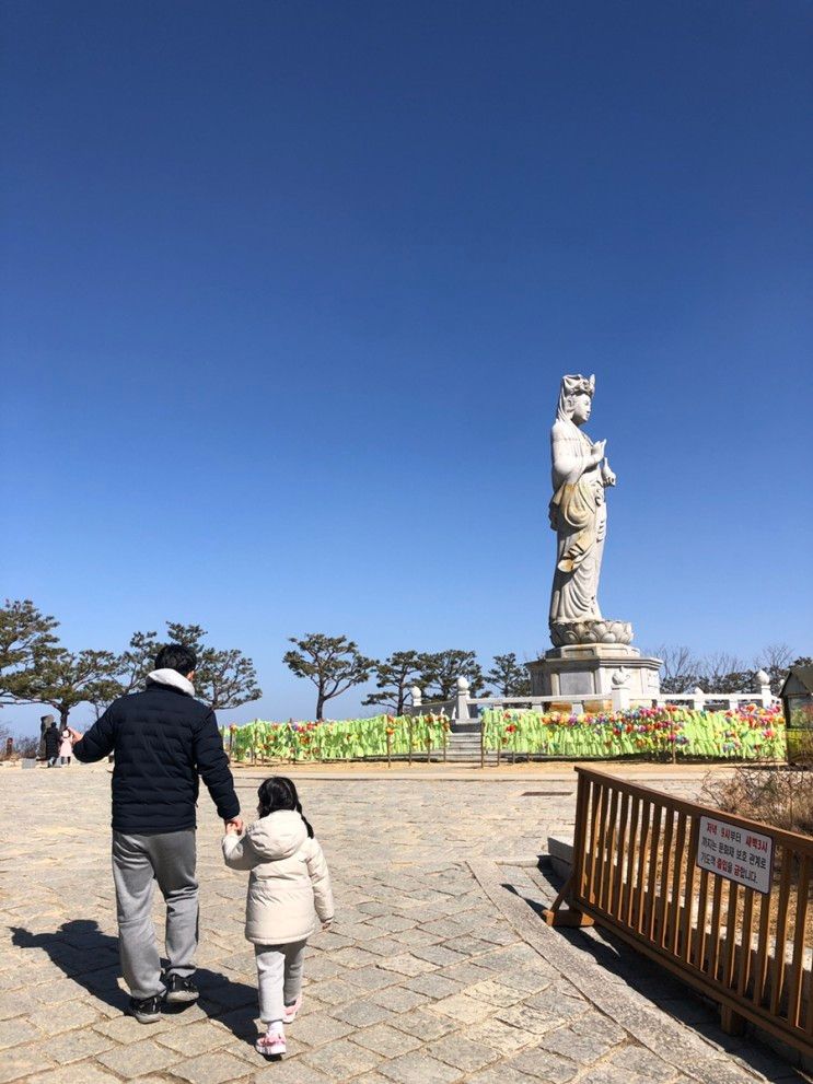 아이랑 양양 낙산사 • 속초 아바이마을 갯배 / 6살 아이와 속초여행 코스 추천해요