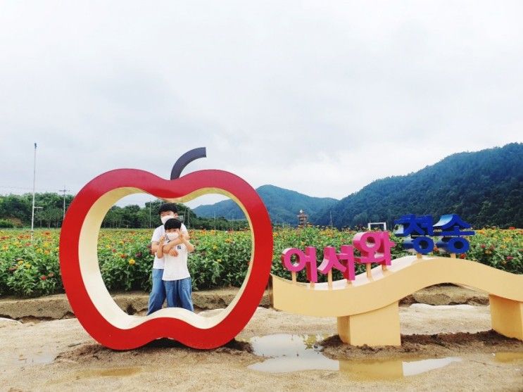 청송여행 1박2일 맛집멋집 : 청송 가볼만한곳 :: 알차게 기록한 여행일기장 포함