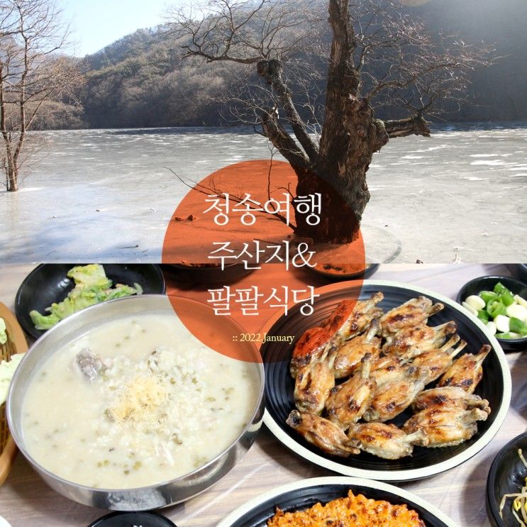 청송여행 가볼만한곳 겨울 주산지&청송맛집 팔팔식당 닭백숙