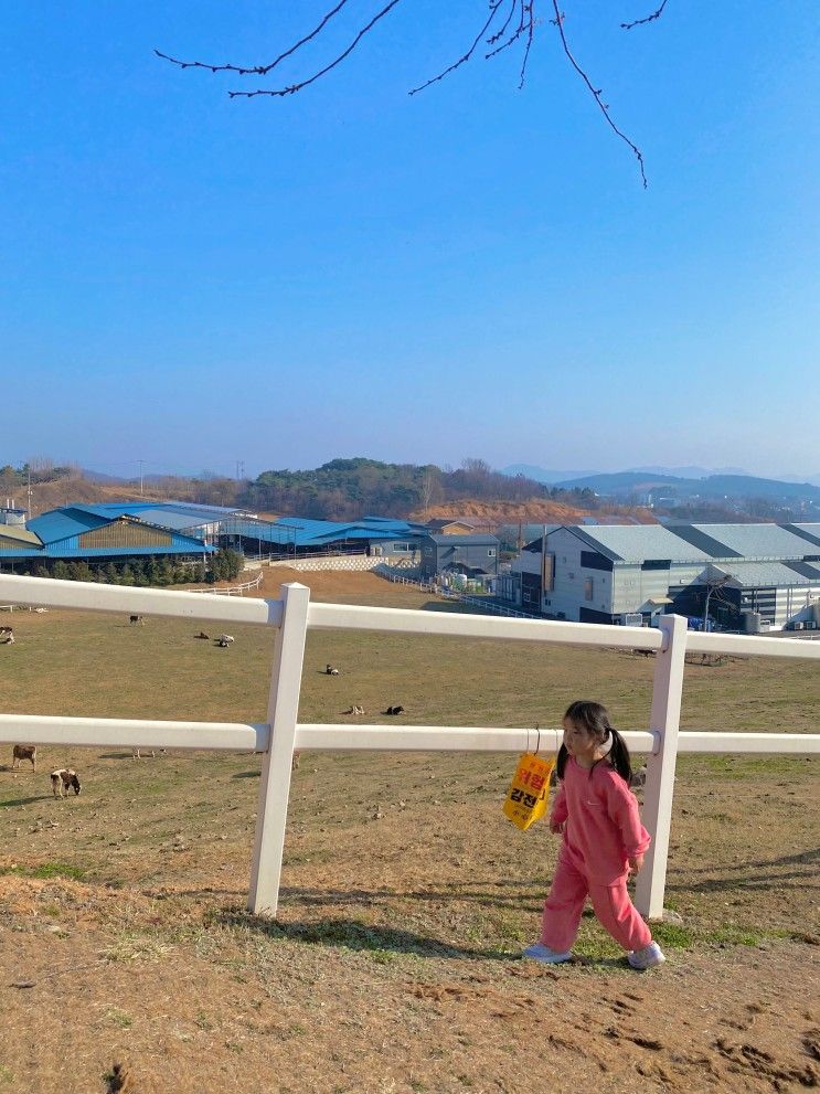 보령 가볼만한곳 우유창고 카페와 학성리 공룡발자국 화석