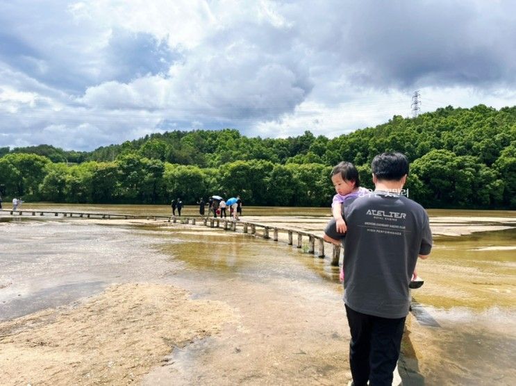 13개월아기랑 영주 나들이/ 영주 가볼만한 곳/ 무섬마을...