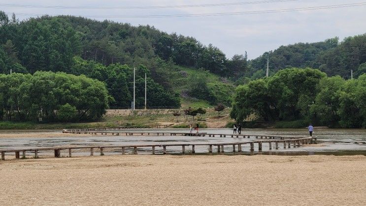 영주 무섬마을 가는길, 무섬외나무다리 주차장,영주무섬마을...