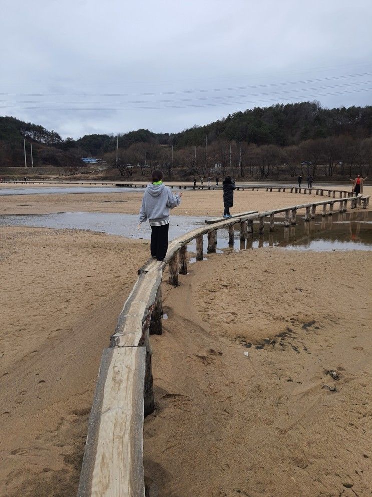 물 위에 떠 있는 섬, 무섬마을 전통가옥(ft. 외나무다리로...