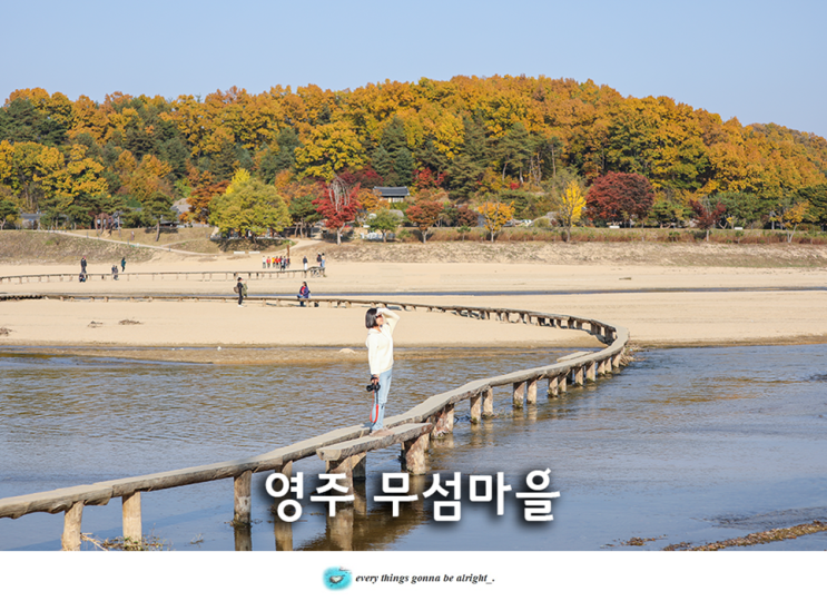 경상도 가볼만한곳 영주 여행 : 영주 무섬마을