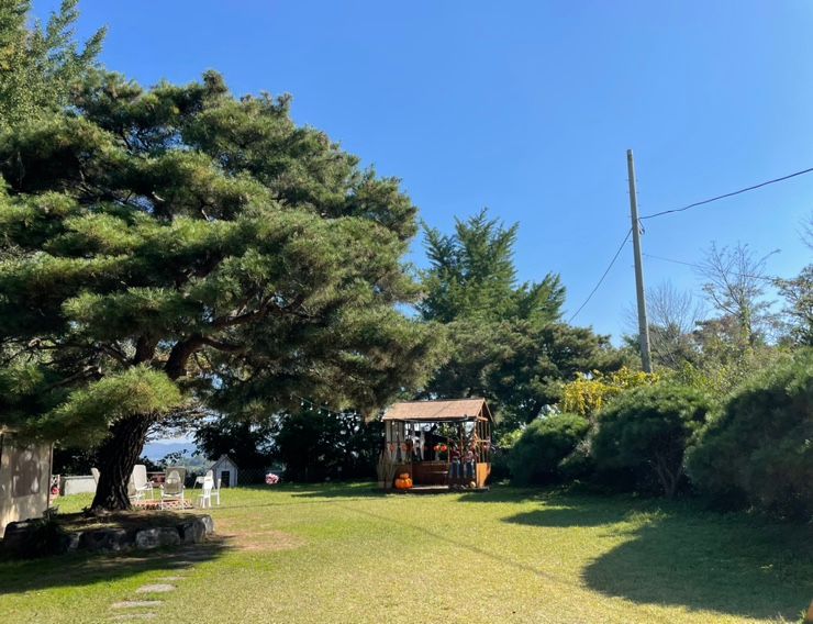 가을만끽 안성 ‘온전한 하루’ / 경기도 가을 나들이 / 캠핑...