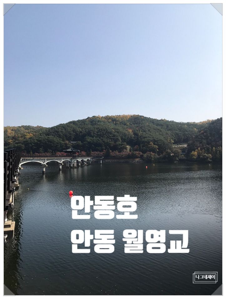 안동가볼만한곳 월영교 비밀의 숲 낙강물길공원