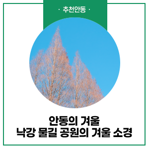 [안동의 겨울] 낙강 물길 공원의 겨울 소경 감상