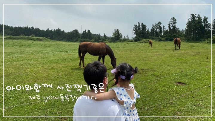 제주 아이와 함께 떠나는 여행 '성이시돌목장' 우유부단 제주 서쪽 여행지 추천