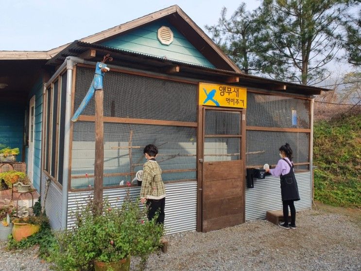 [경기 안성] 곤충, 동물먹이주기, 다양한 체험 가득한 허브와풍뎅이