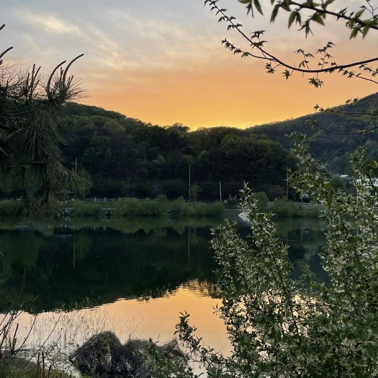 🏕 안성 용설호수캠핑장 :: 초아도 다녀간 호수뷰 캠핑장 _ 2박3일 후기