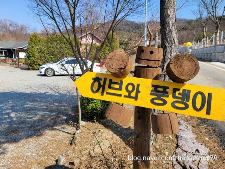 (안성어린이체험공간)허브와풍뎅이