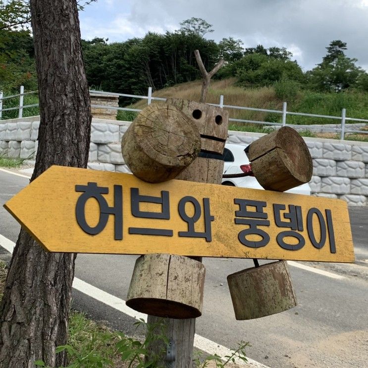 체험 학습 아이와 갈만한 곳 실외 주말 나들이 - 허브와풍뎅이 -